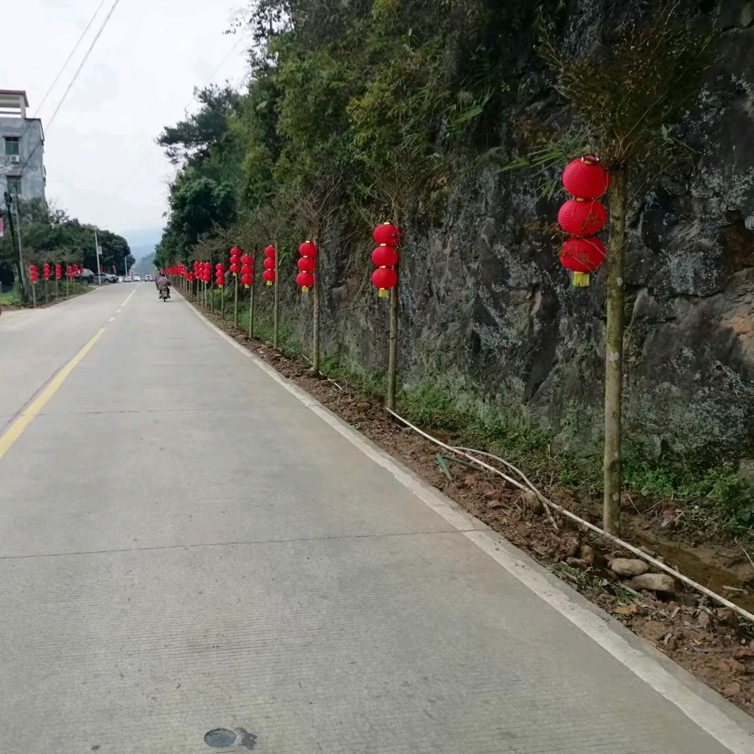 西洋的菜叫西洋菜