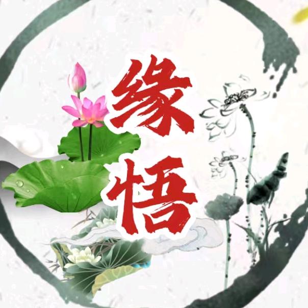 缘悟.
