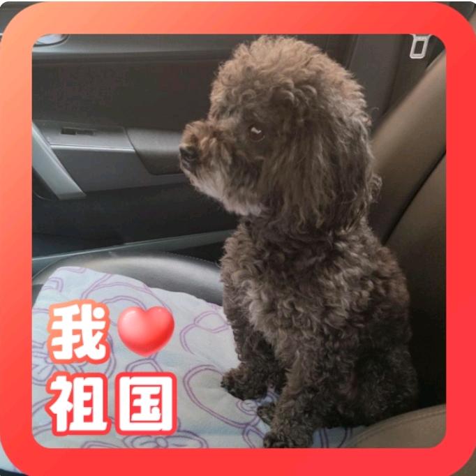 暖窝窝