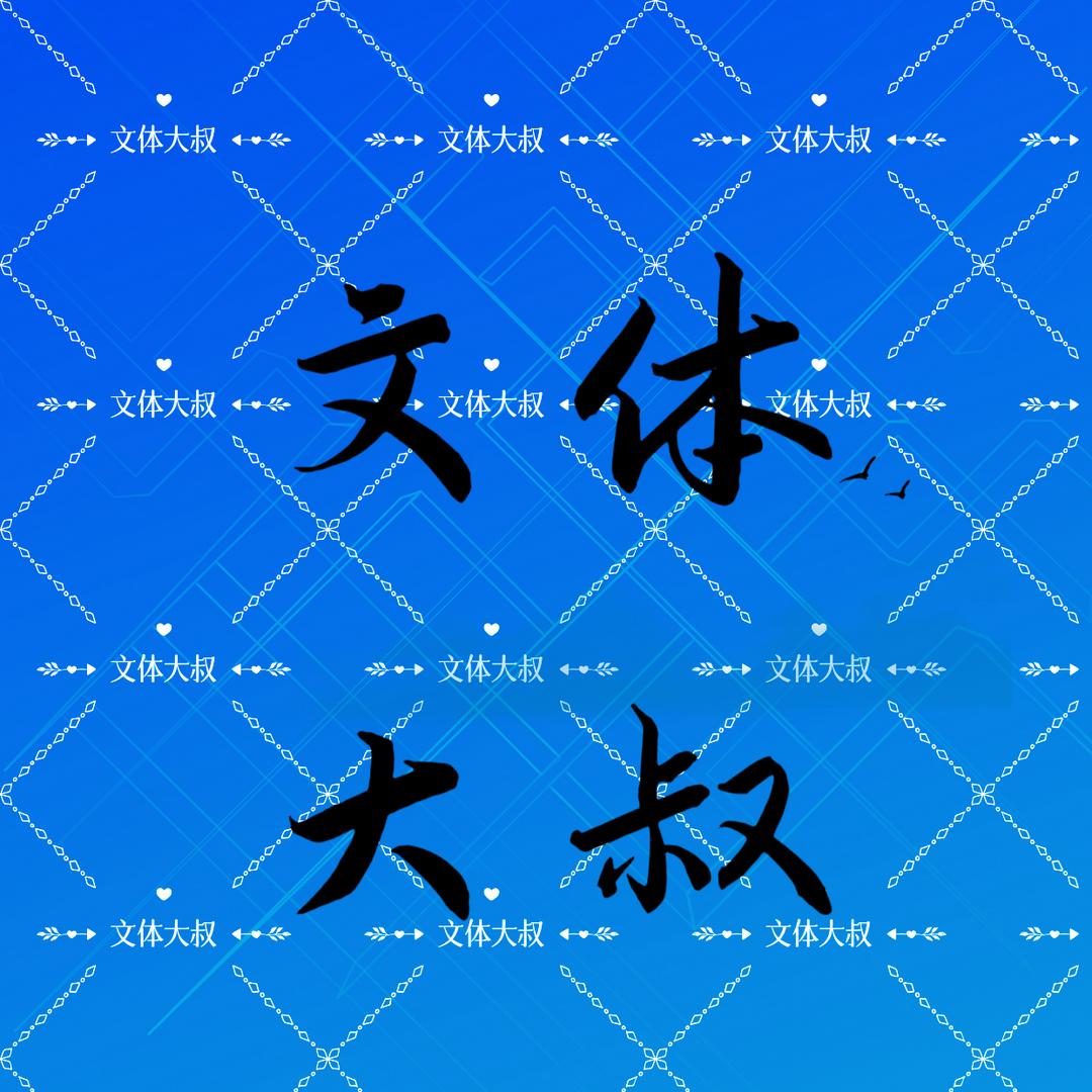 文体大叔