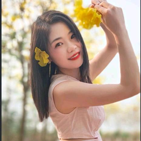 手可摘星辰