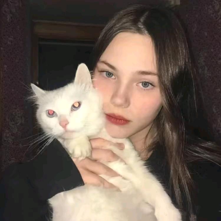 S_Cynicism（见过时代少年团版）