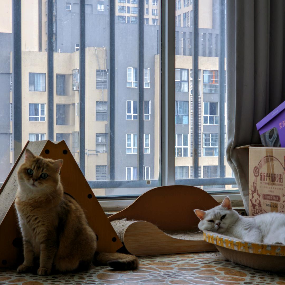 金角银角大王(过年版)