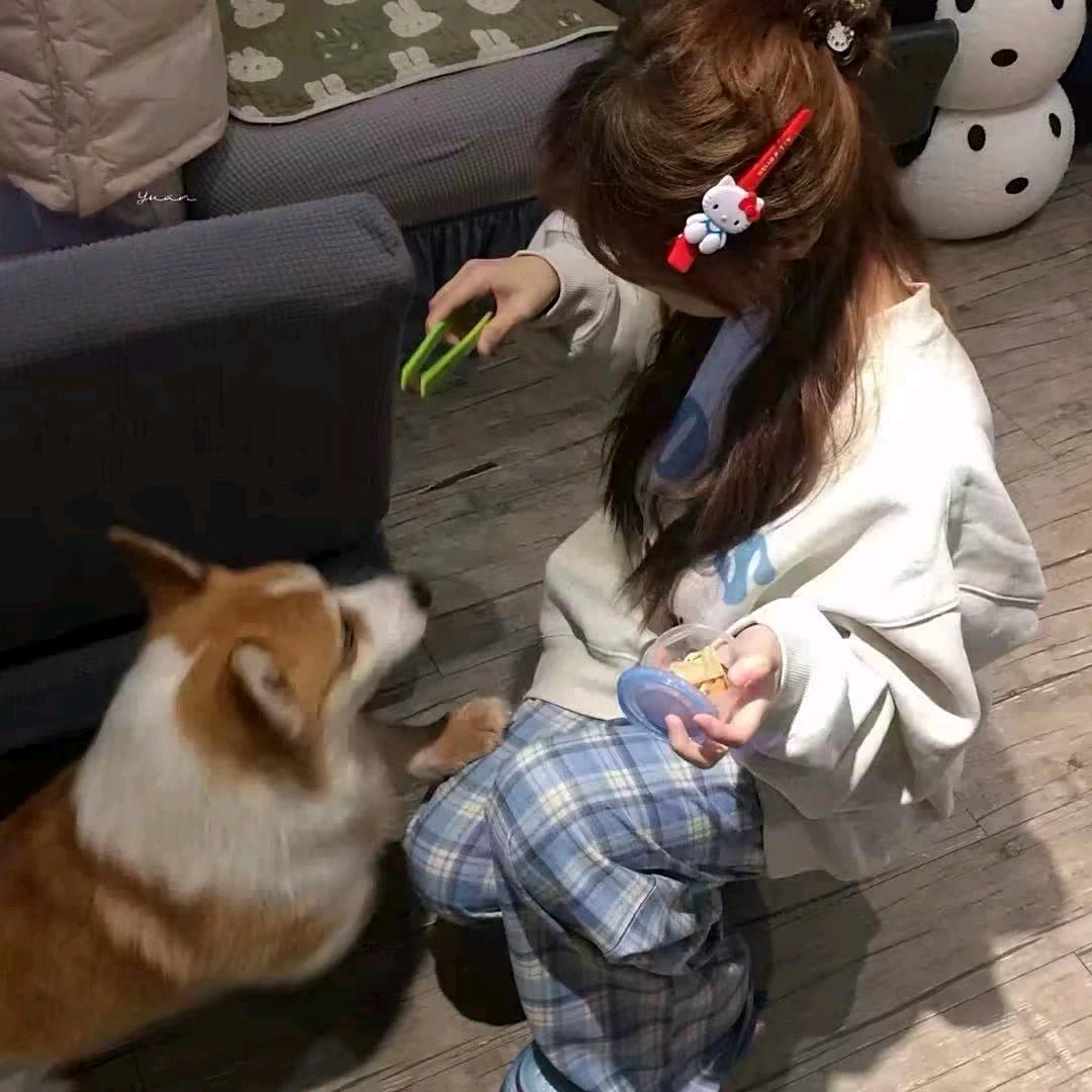 胆小鬼