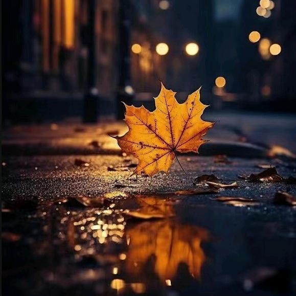 刚子哥(好钓鱼)