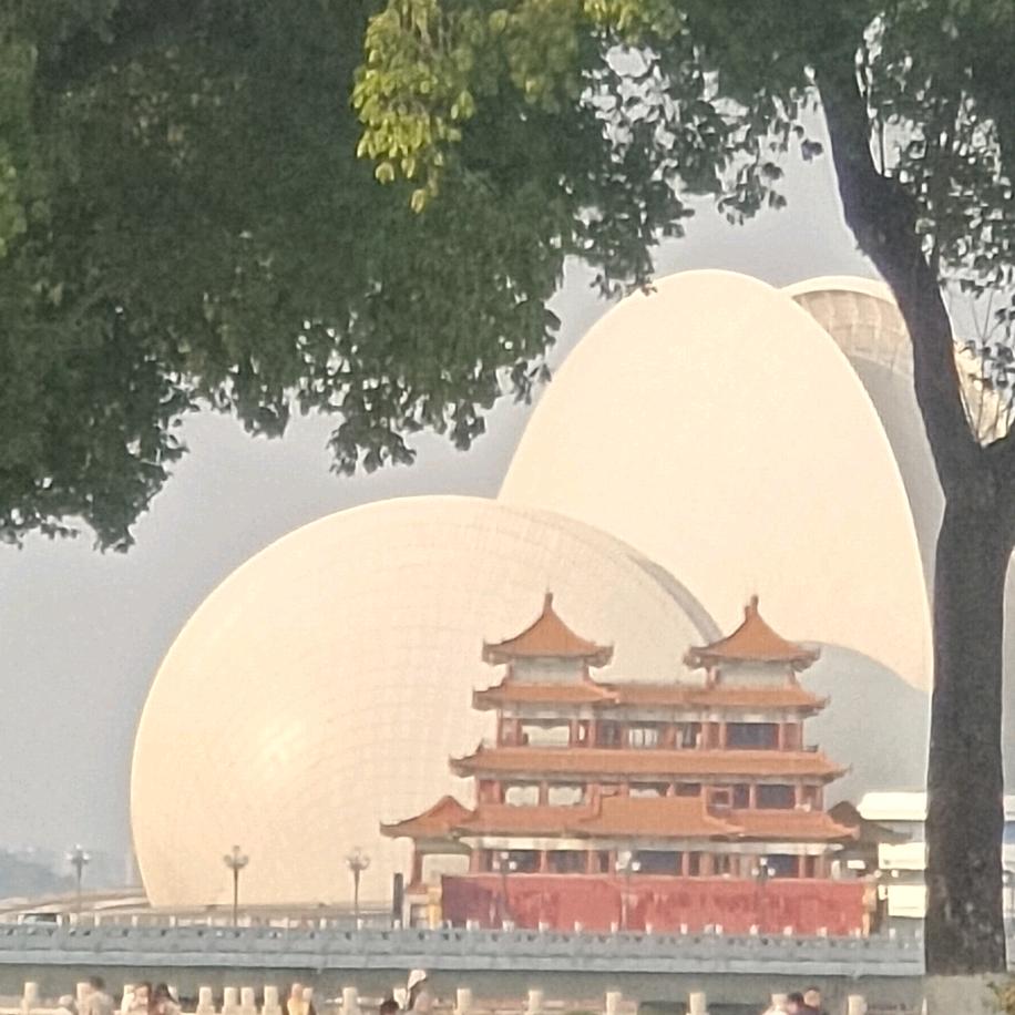向阳而生