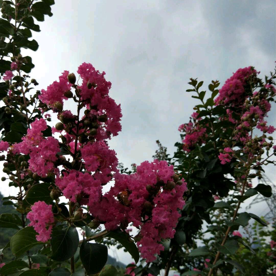 一生有你