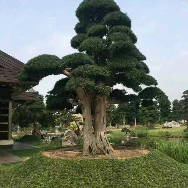 用户6375914548591