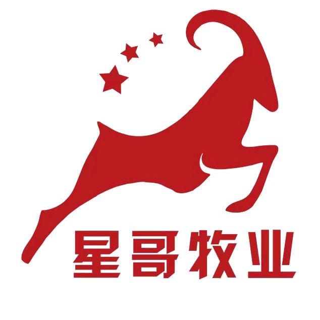 星哥牧业༄语宁࿐