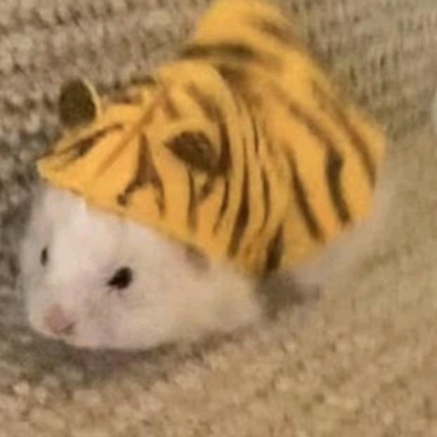 。.