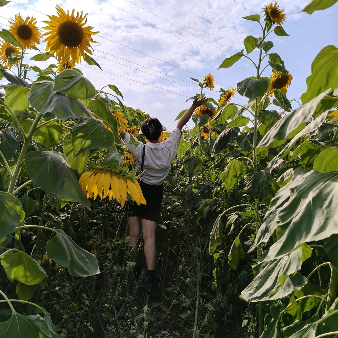 有远大志向的小吴