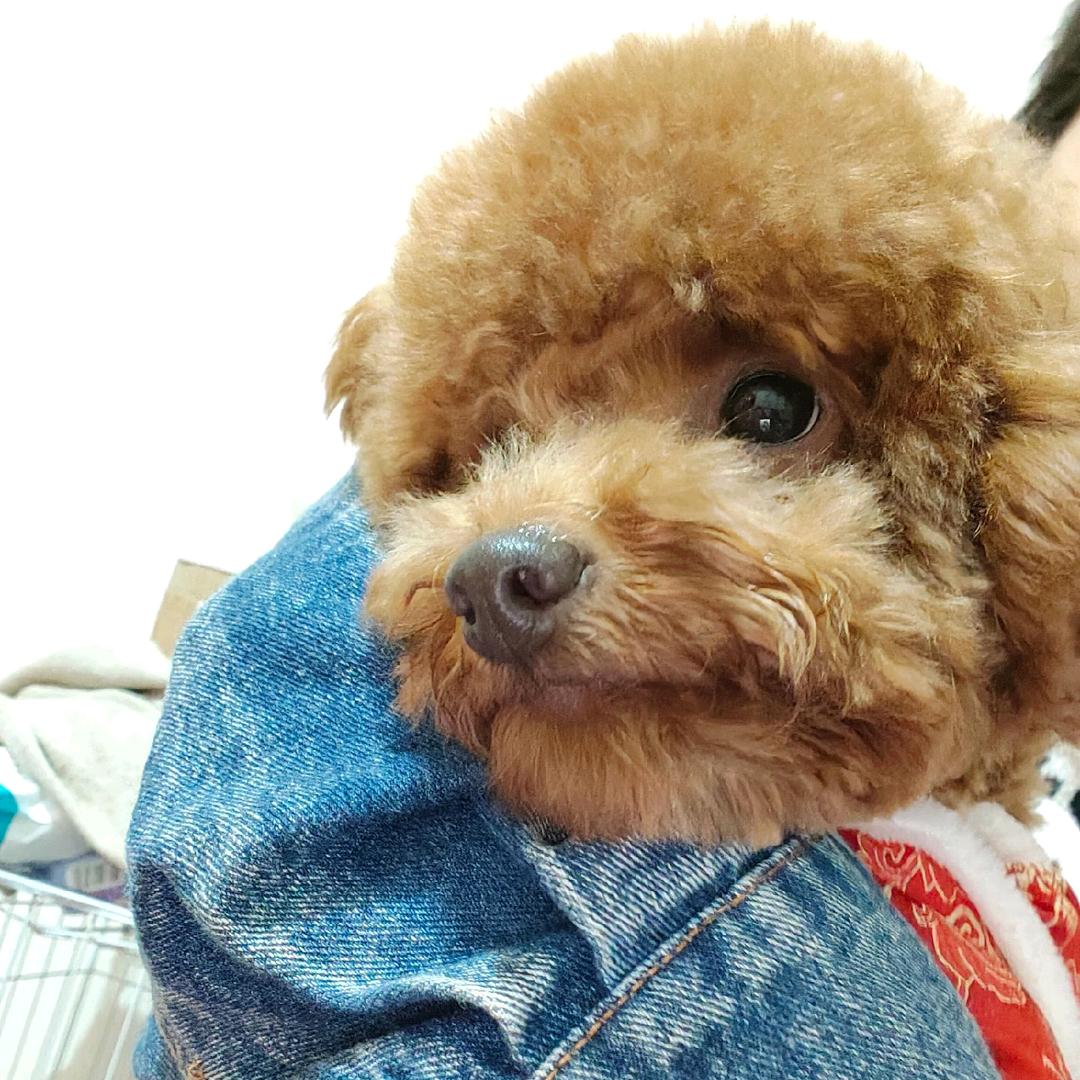 且行且珍惜YANG