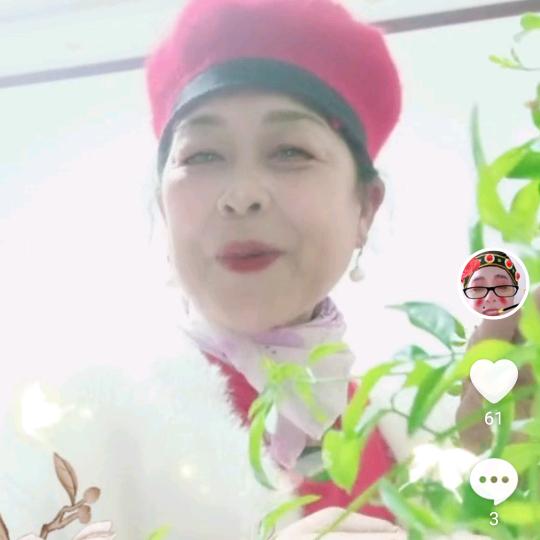 时尚舞著