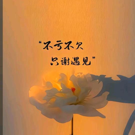 宝藏集散地