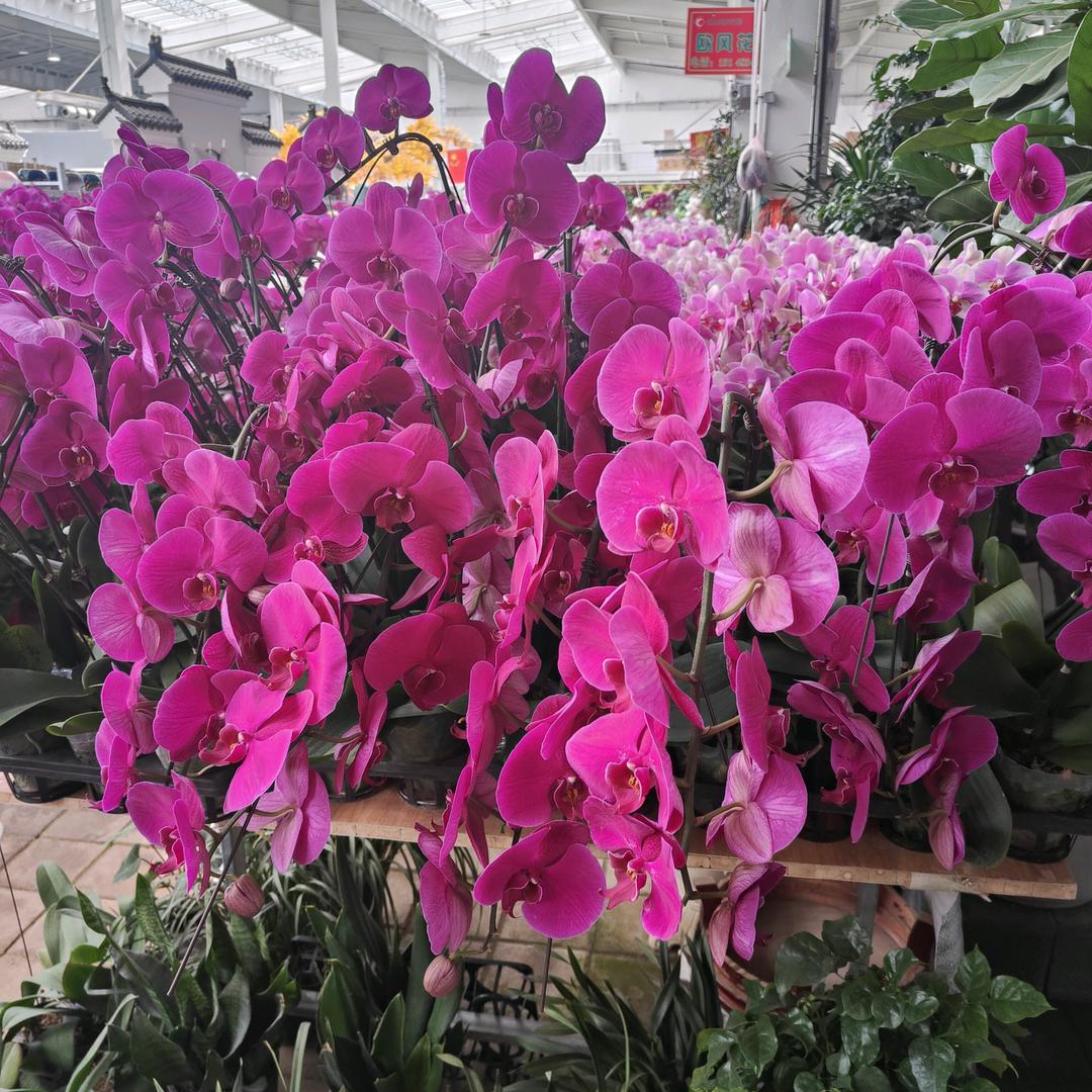 过往云烟
