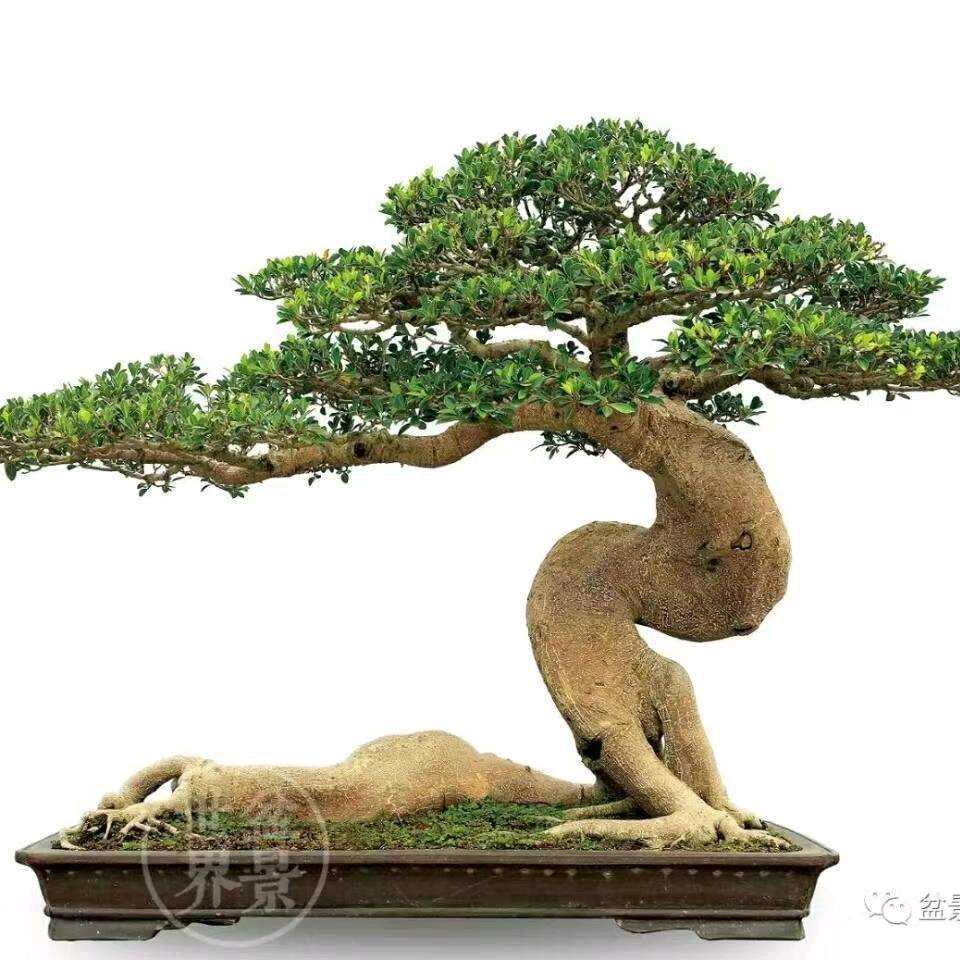 难忘今生