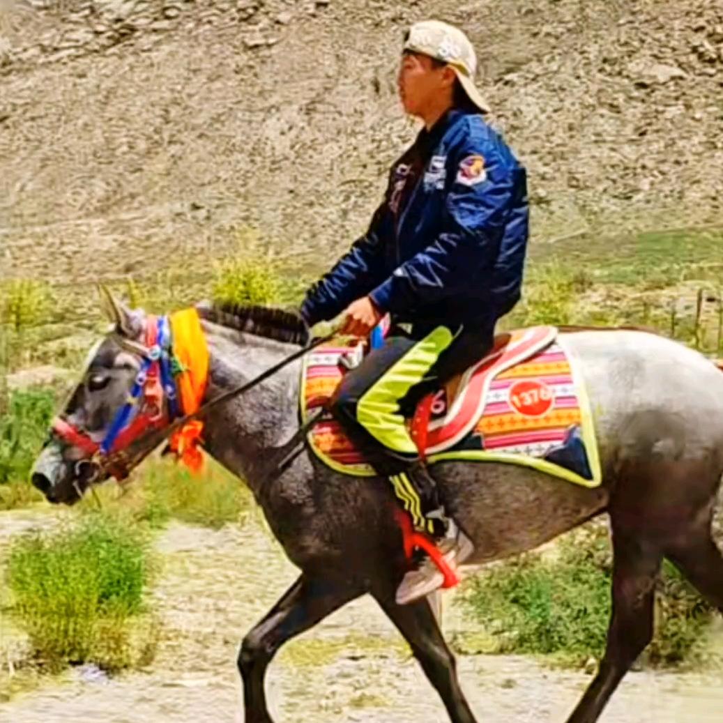 🔥𓃗༺࿈༻布旦增༺࿈༻𓃗🔥