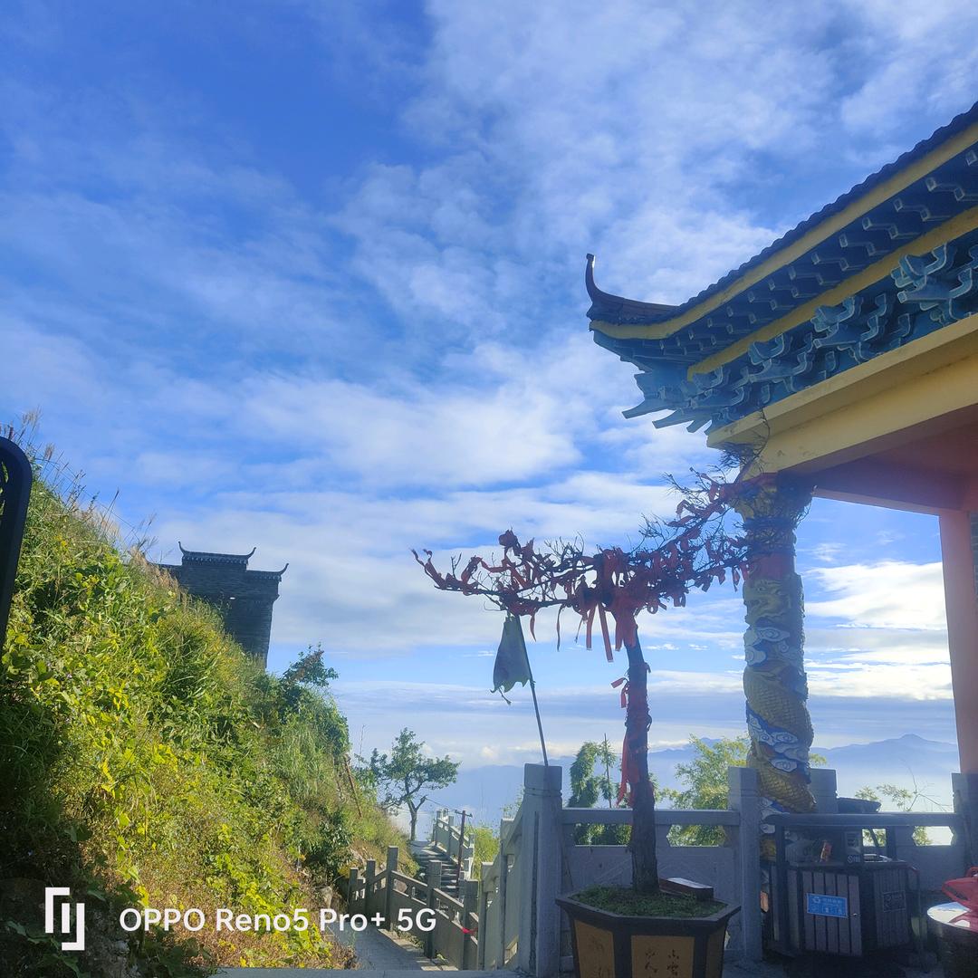 姐不温柔*也不美