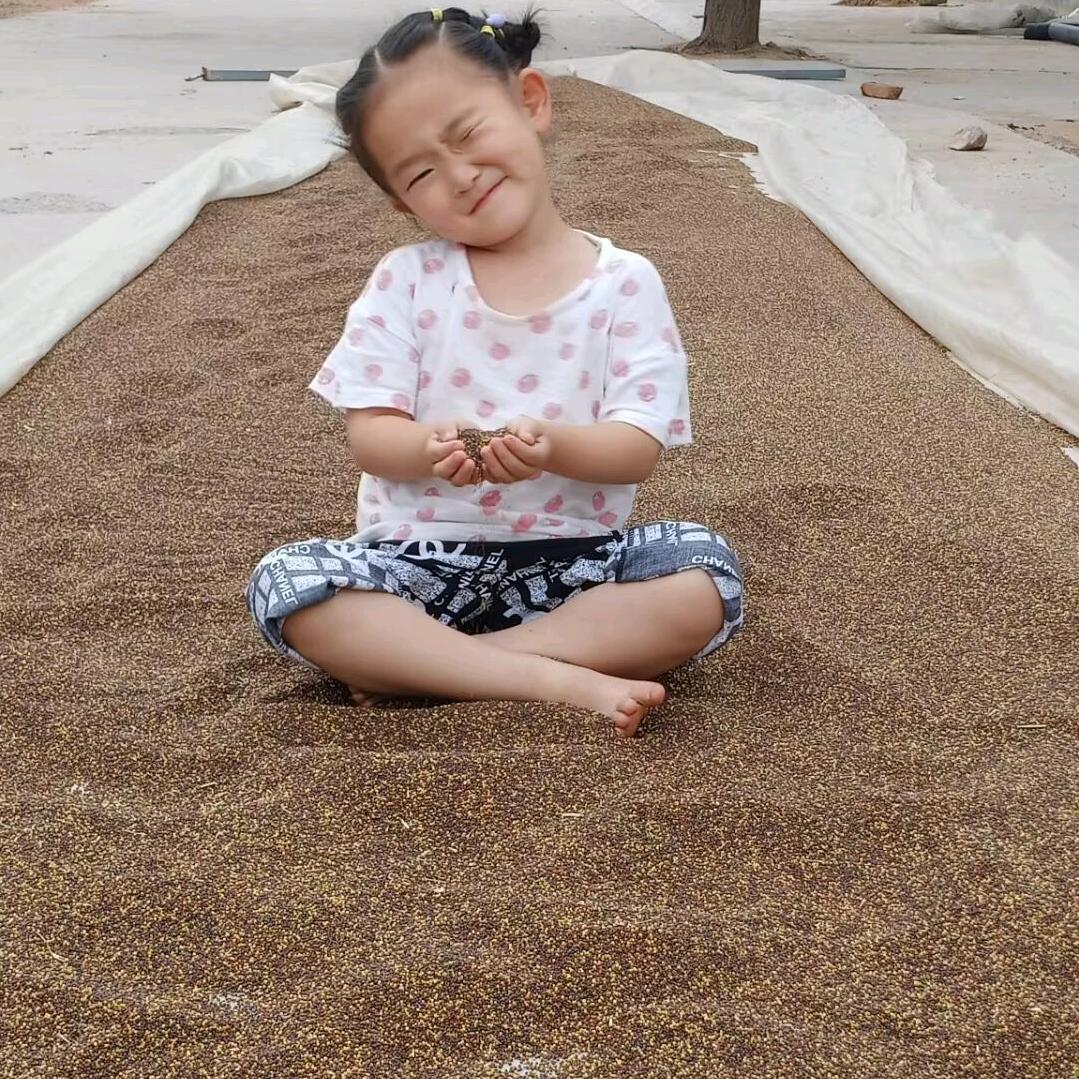 ☀王二妮☀