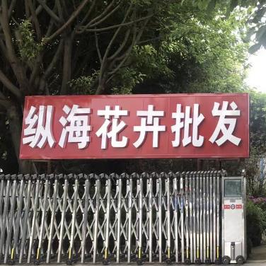 达州纵海花卉批发~小爽
