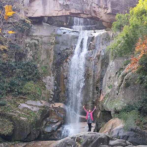 🌱金色榴莲😜耶🌱