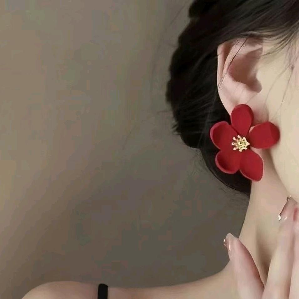 @~洋柿子🍅