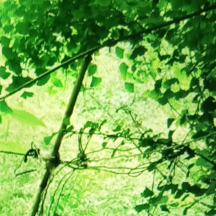 木业