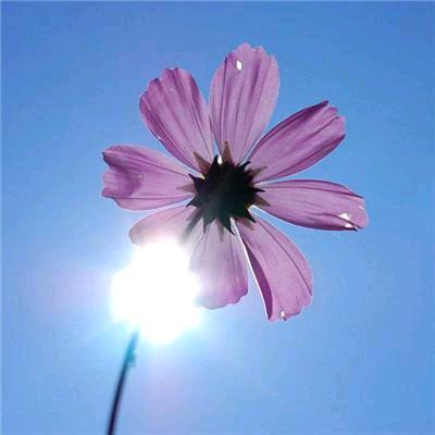 🌞幸福快乐🍒