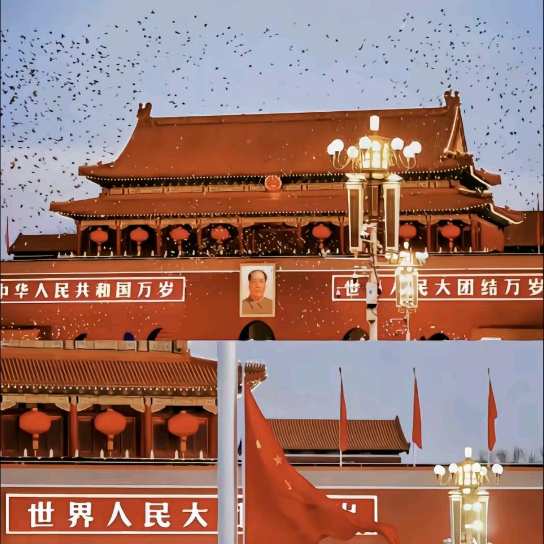 锦鲤小富婆