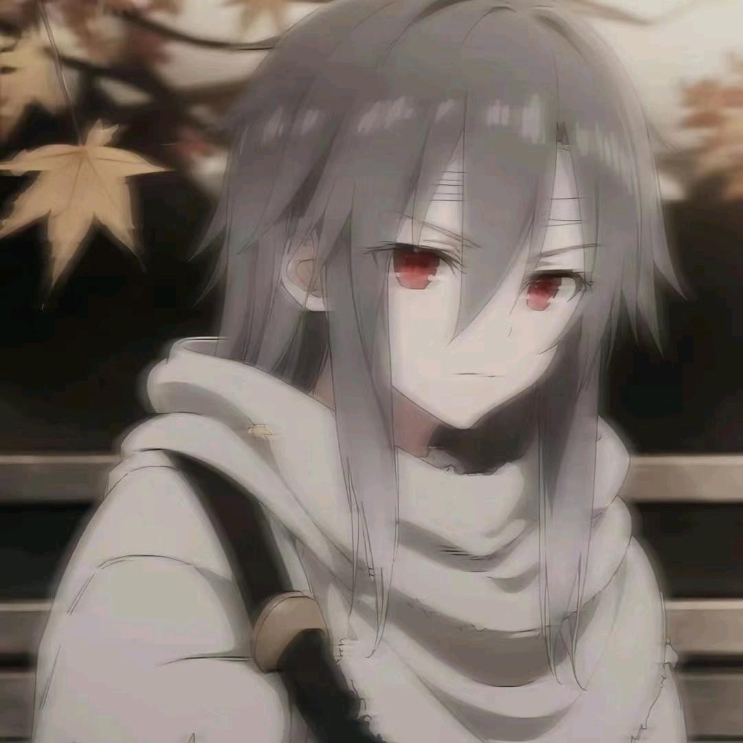 枫、