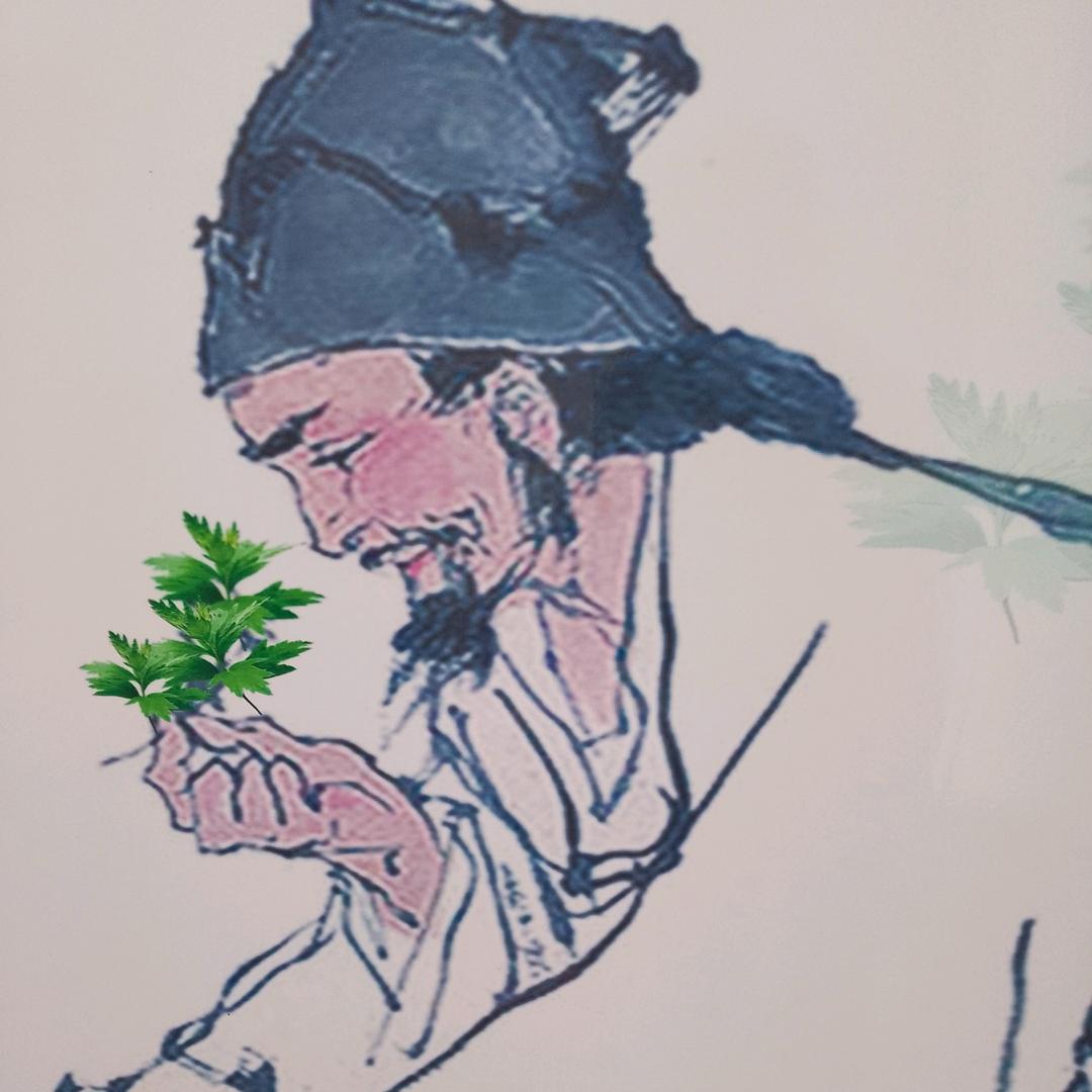 一生有你才是幸福