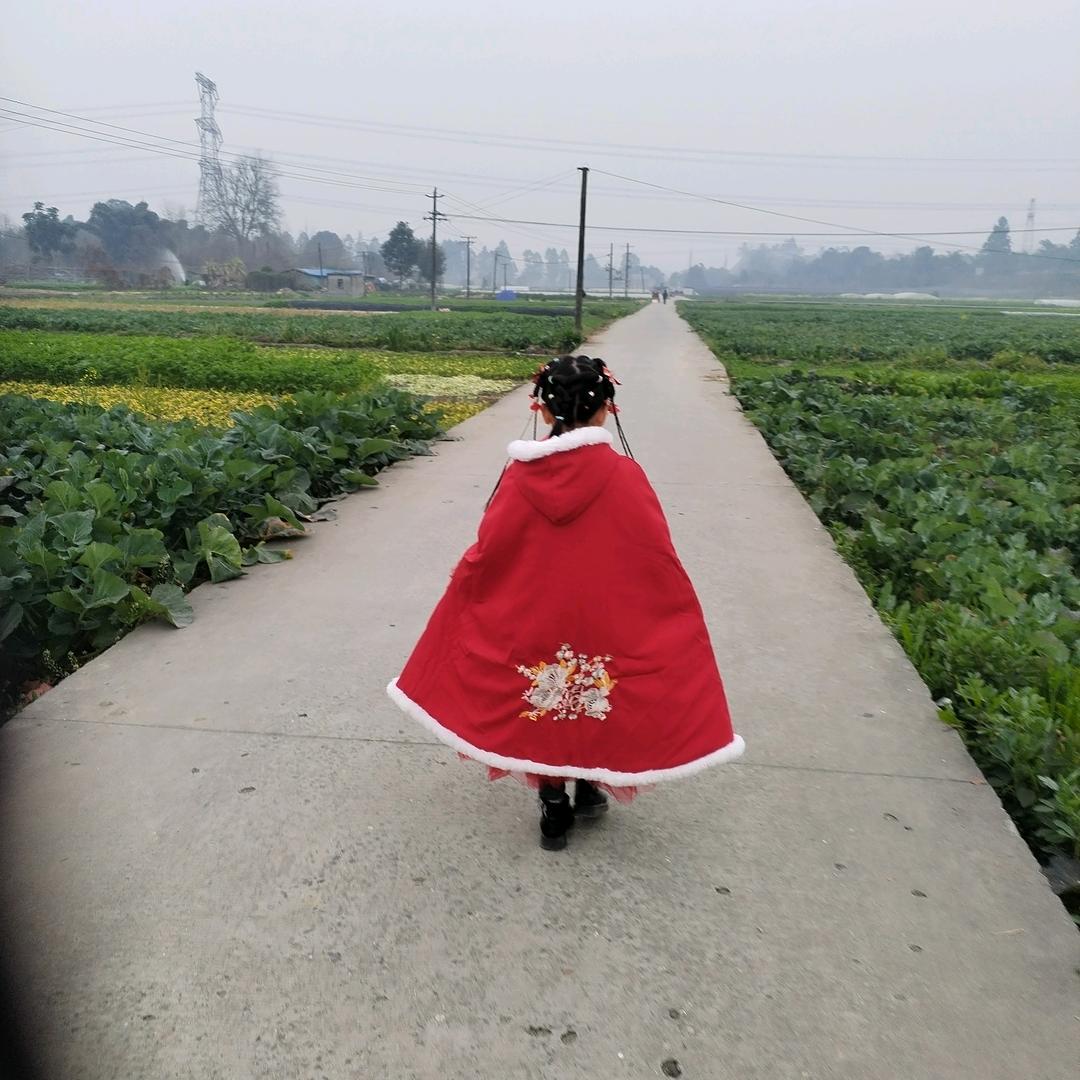 黄荆梅子