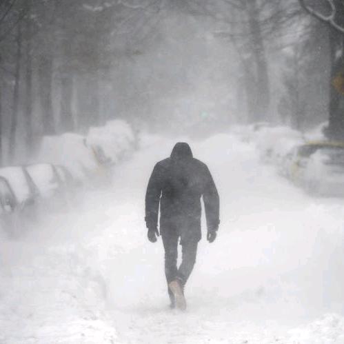 北风吹雪