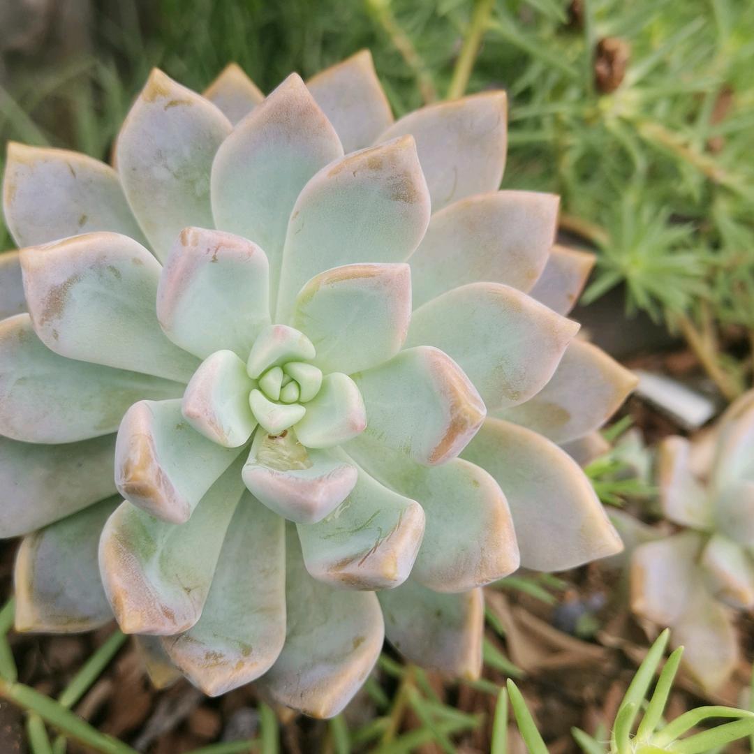 呵呵～