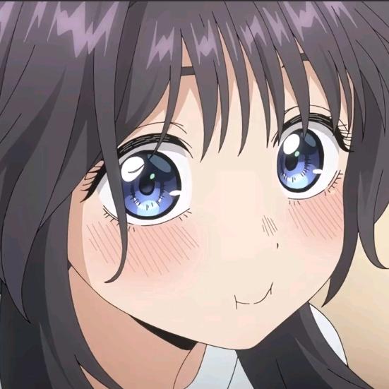 番茄本柿