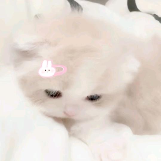 牛角包
