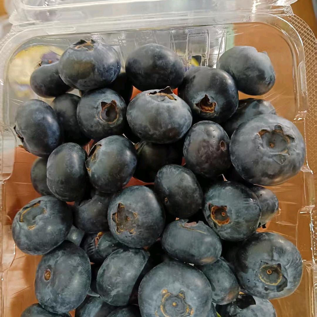 蓝莓技术服务中心