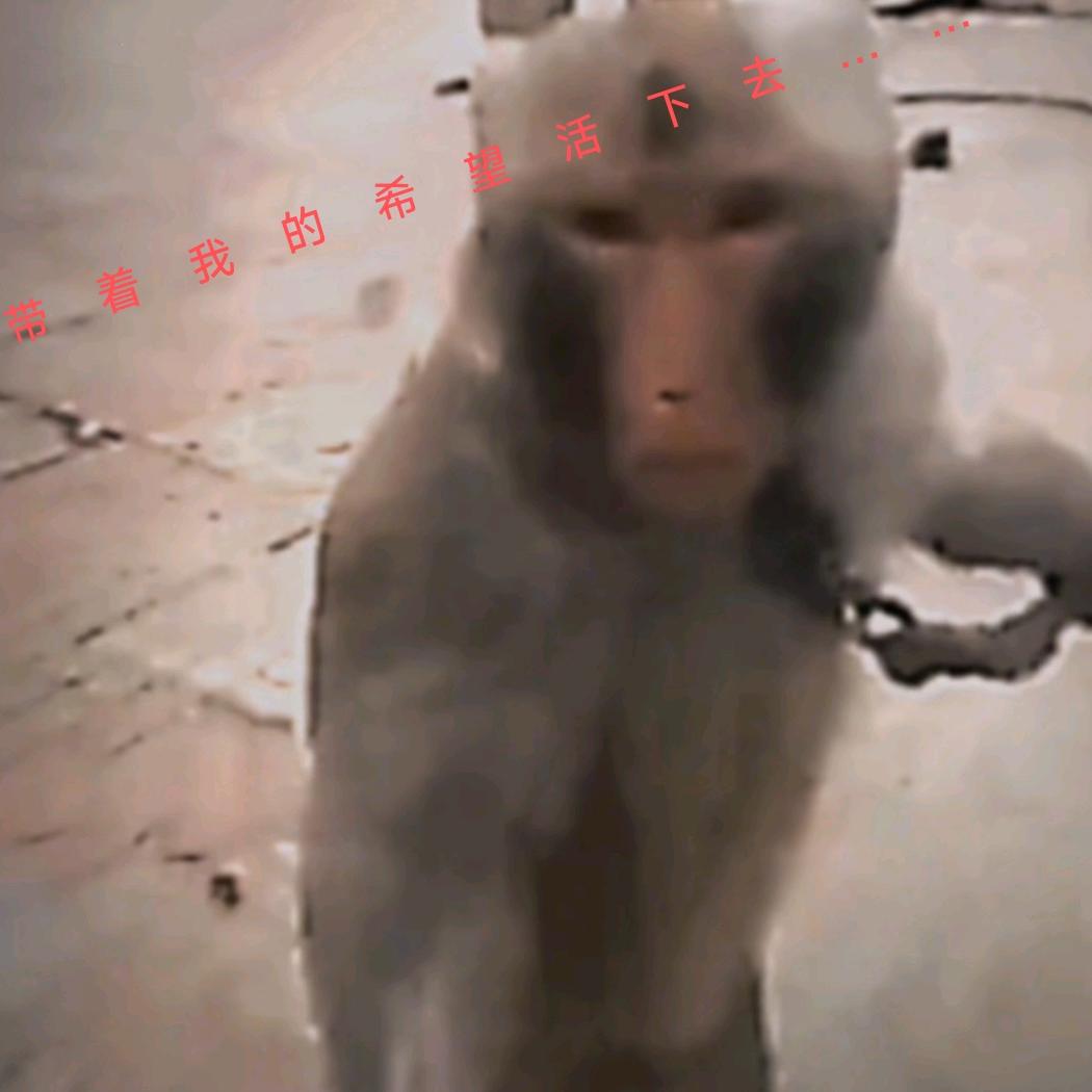 煤气罐
