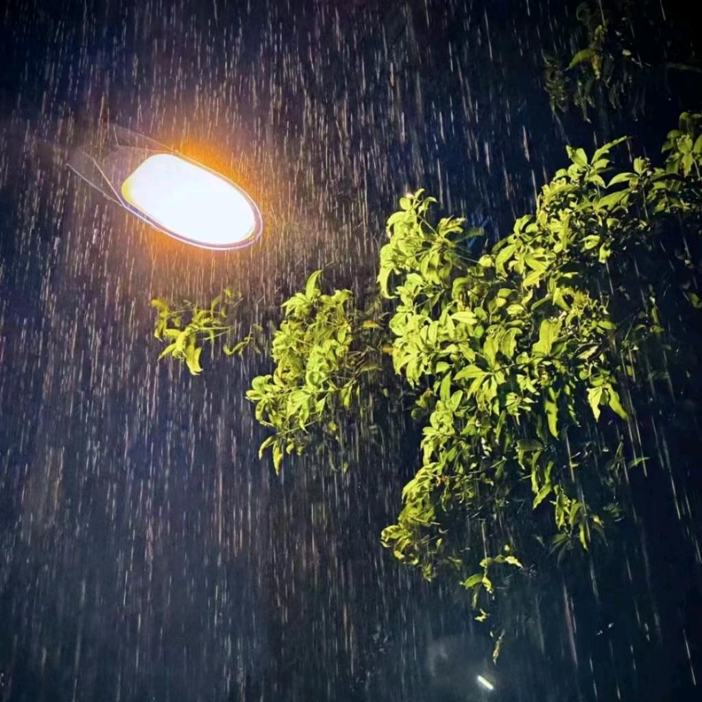 水花宿雨