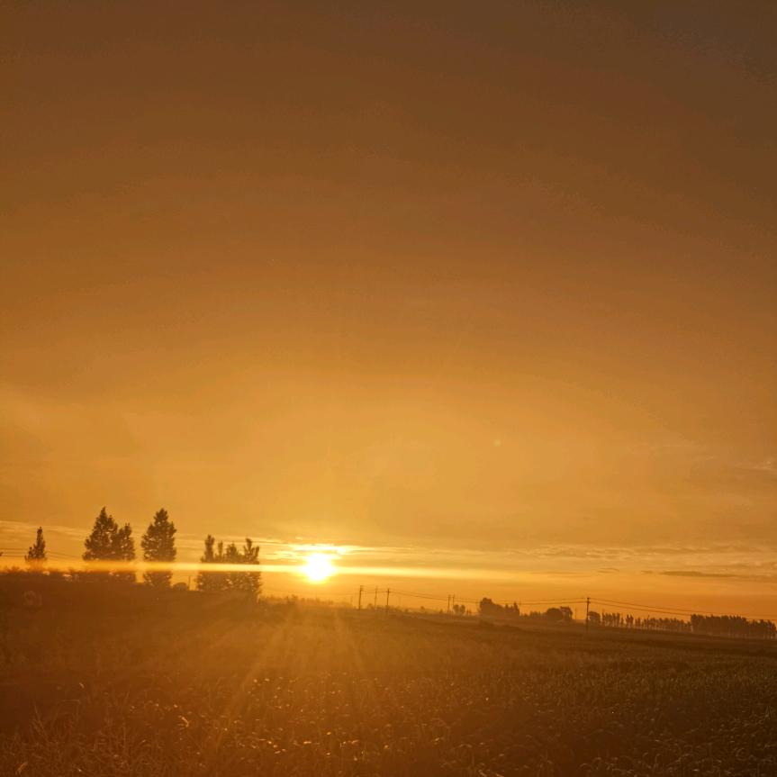 志存高远，脚踏实地