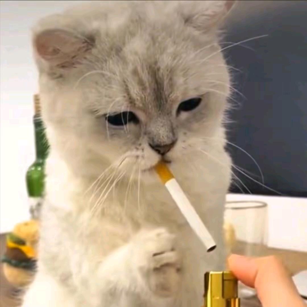 繁華の背後、滿是傷悲