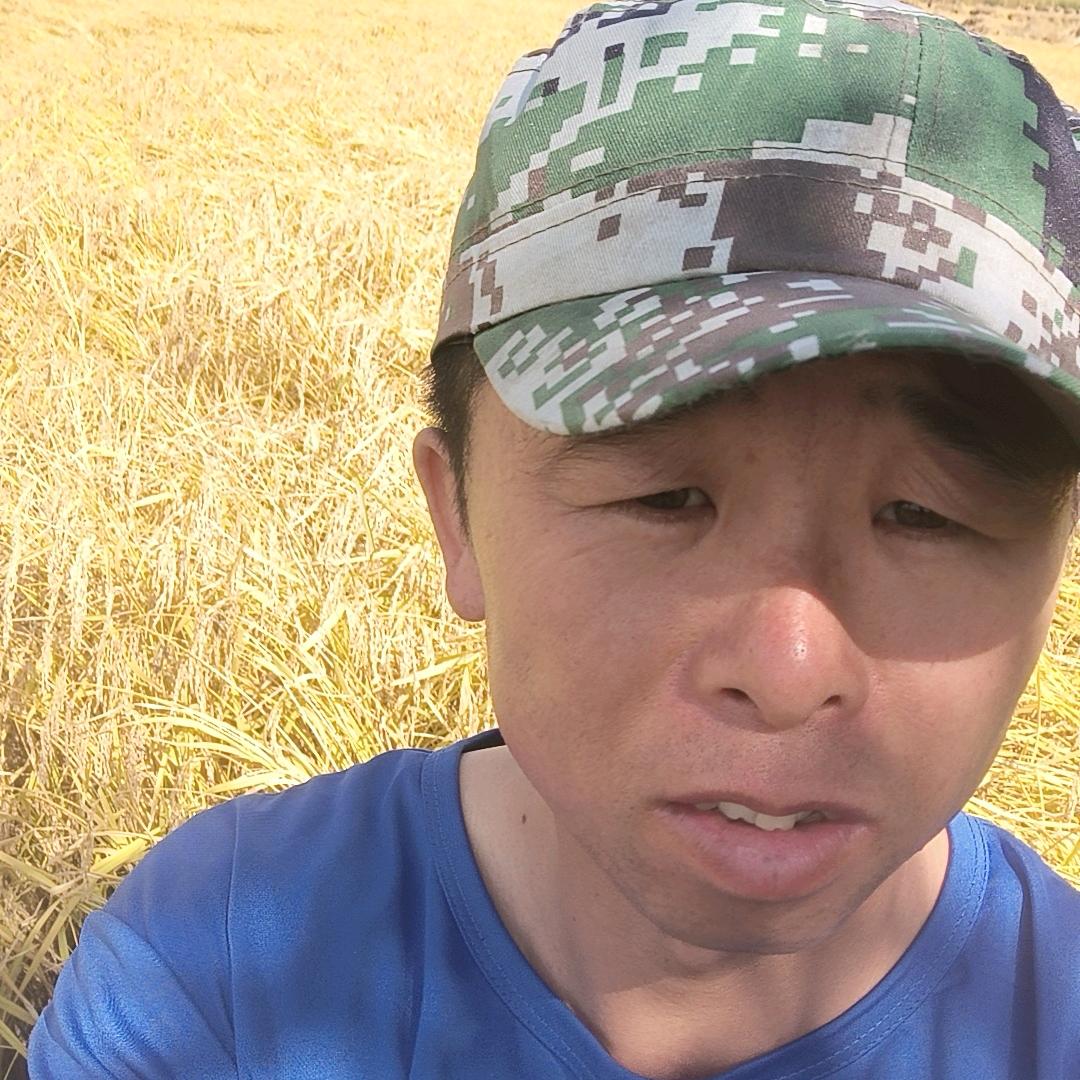 稻香小哥