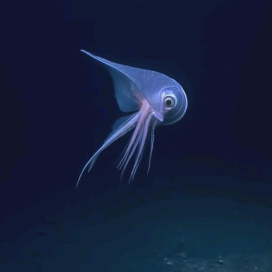 冰D¹²₂₁˙ᵕ˙