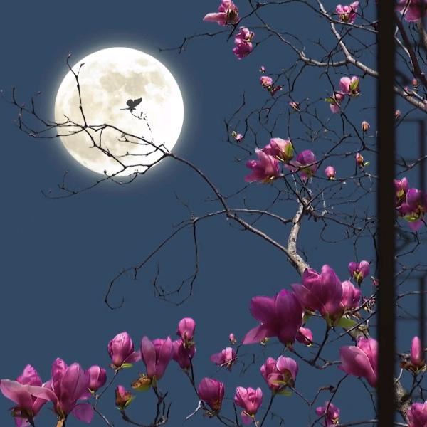 壹念成魔（首播）