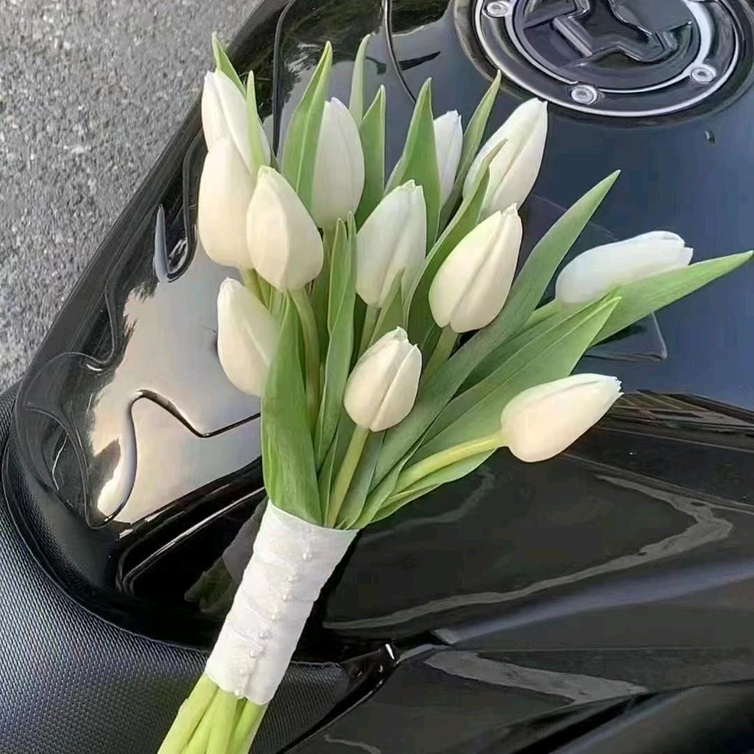阳光♥♥