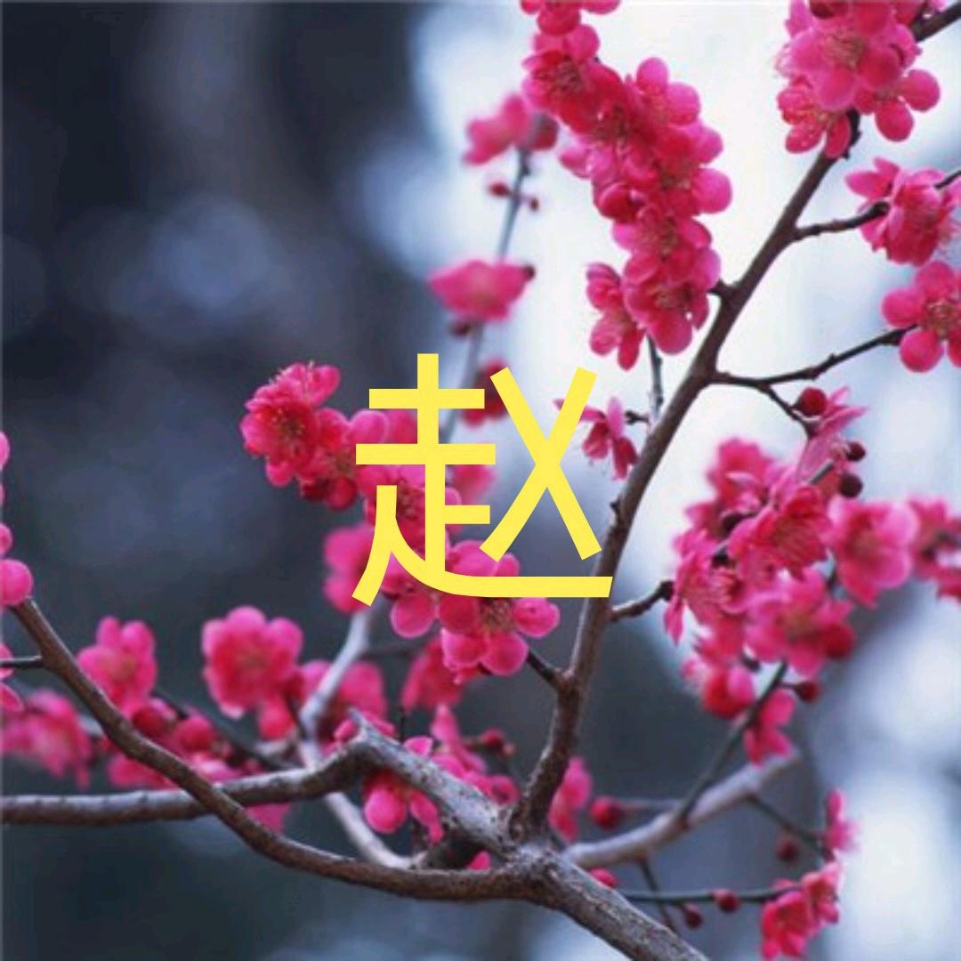 吉星高照（赵）