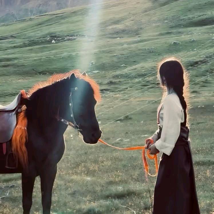 ᝰꫛꫀꪝ ⁵²⁰