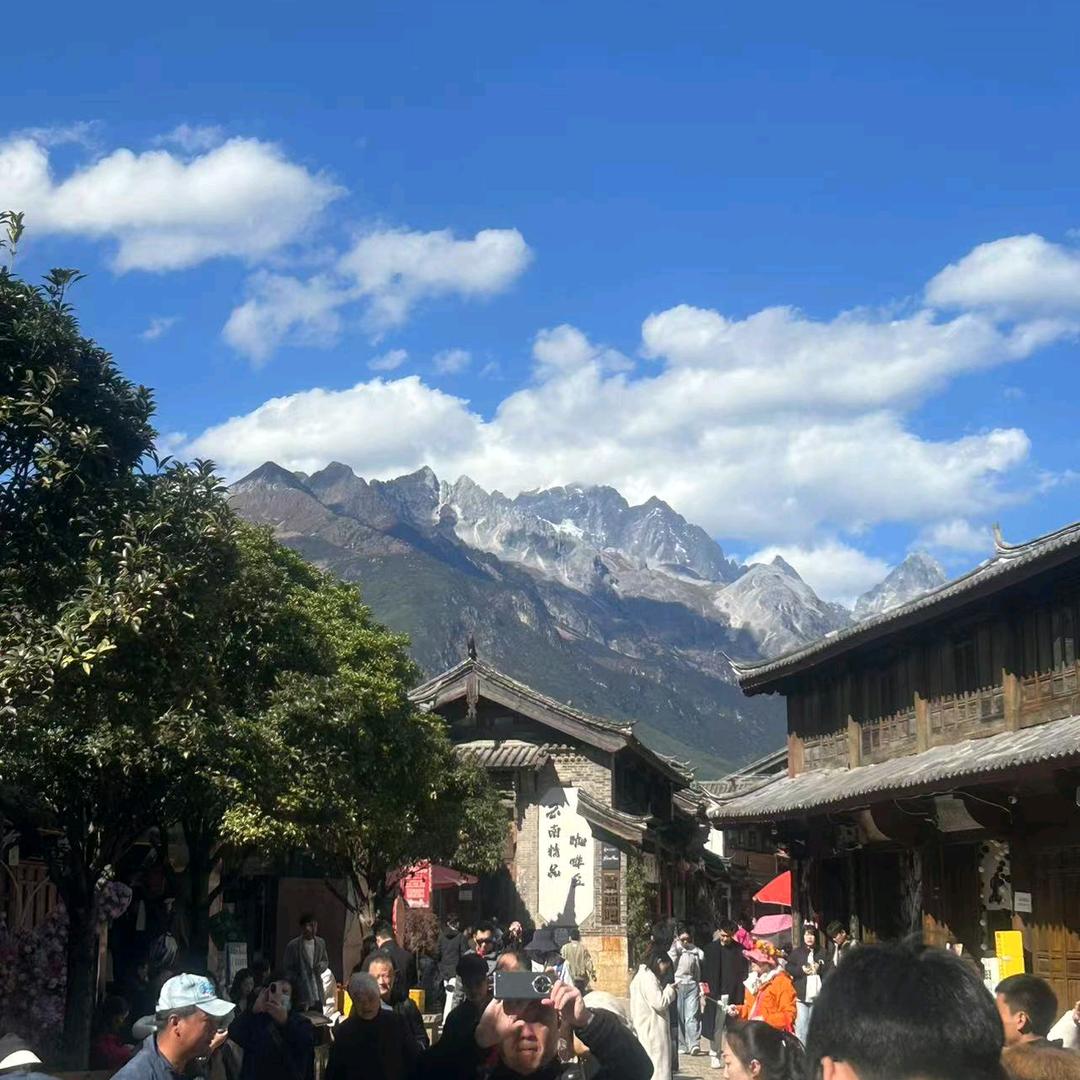 港青旅（🐑🐑）
