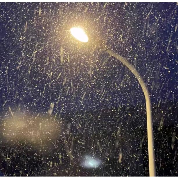 倔强的白羊🔱🔱