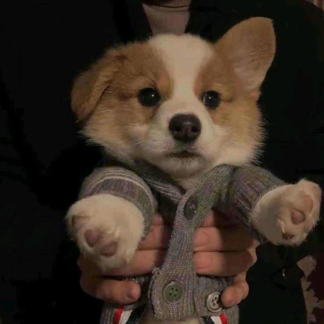 无畏契约解除我的一年禁言！